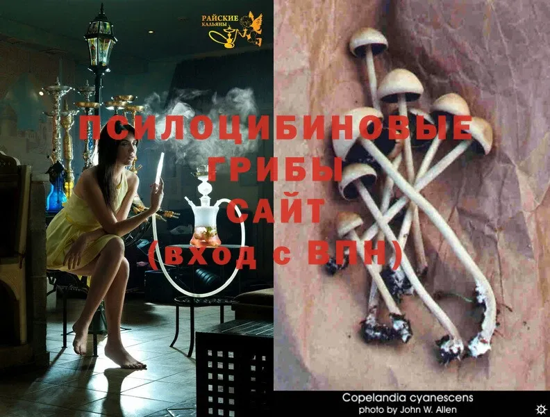 Галлюциногенные грибы Magic Shrooms  дарк нет официальный сайт  Нефтекамск 